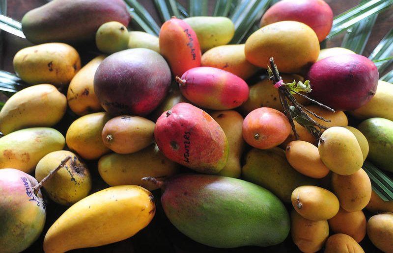 Какви са ползите от манго?